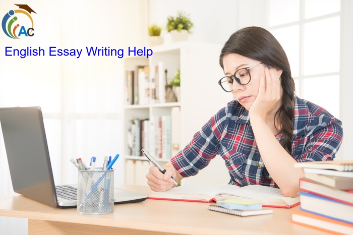 English Essay Writing Help