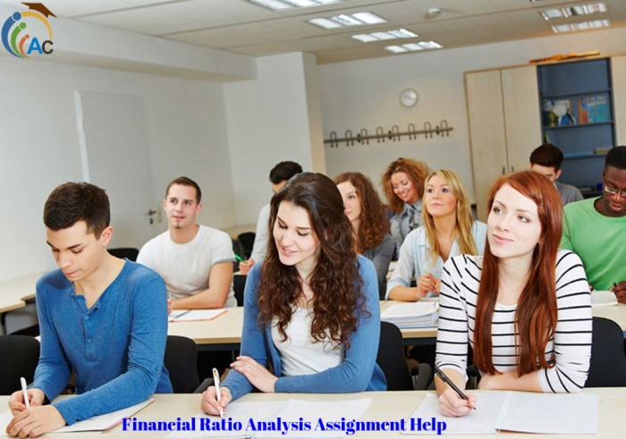 Financial Ratio Analysis Assignment Help