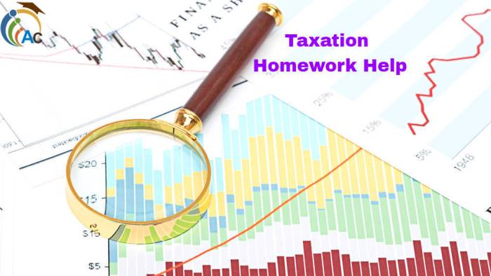 Taxation Homework Help
