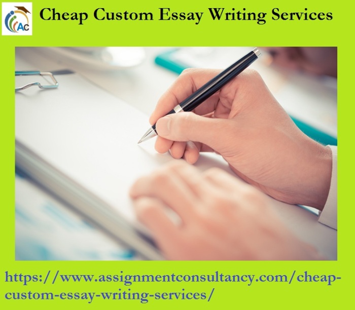 Custom written papers writing service