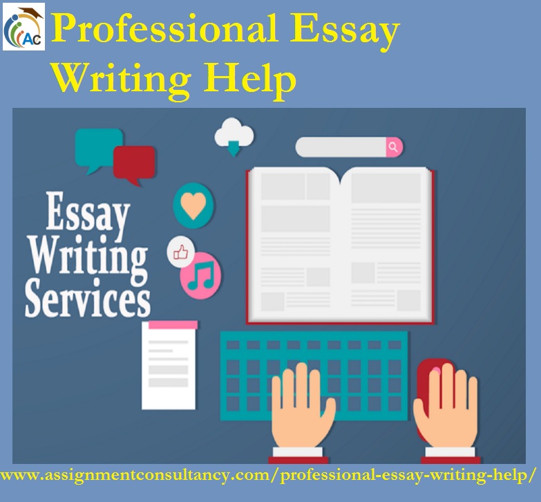 professional-essay-writing-help